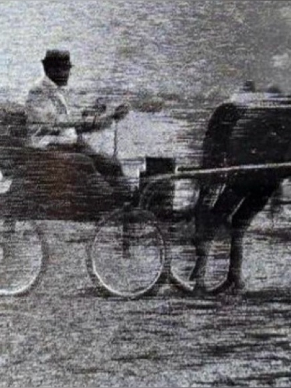 Vintage 70s Western Horse & Carriage Metal Etched Plaque Wood Wall MCM.photo
